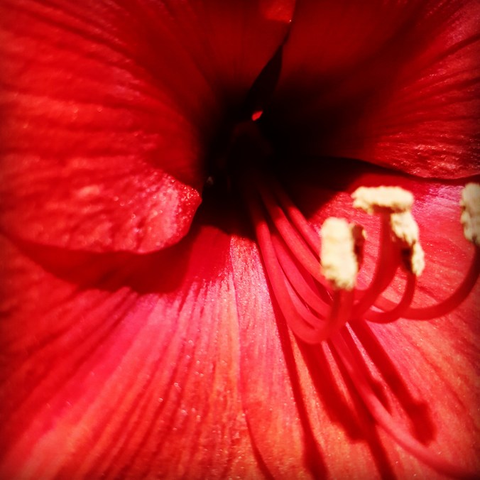 IMG_20171118_115935_759